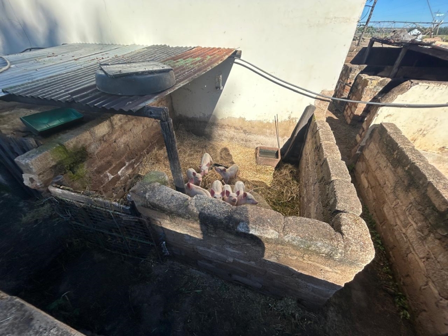 4 Bedroom Property for Sale in Sandrif North West